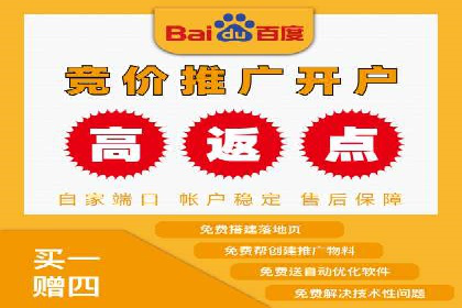 SEM营销案例：电商平台的流量密码